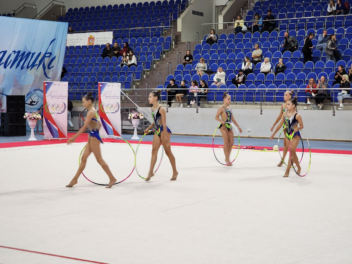раменское, спорт,  турнир московской области по художественной гимнастике , успех,