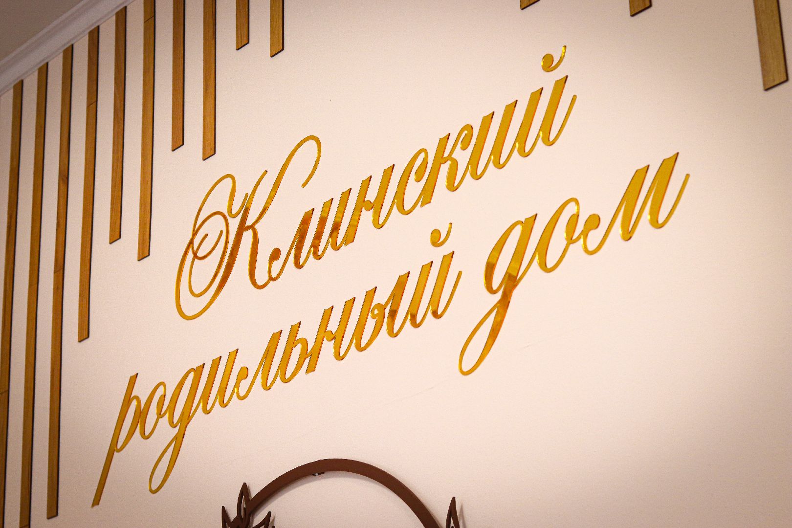 клин, медицина, роддом, дети,