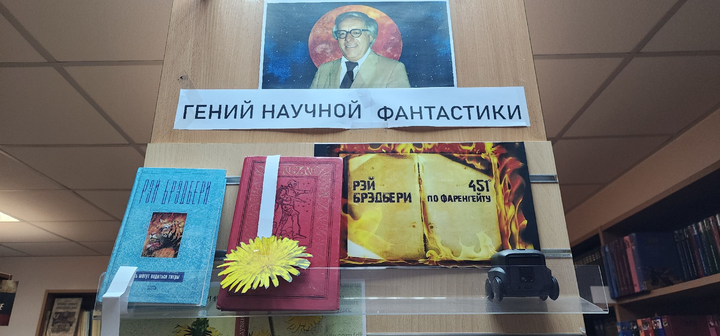 Общество , Литература , Биьлиотека Звенигорода , Культпросвет ,