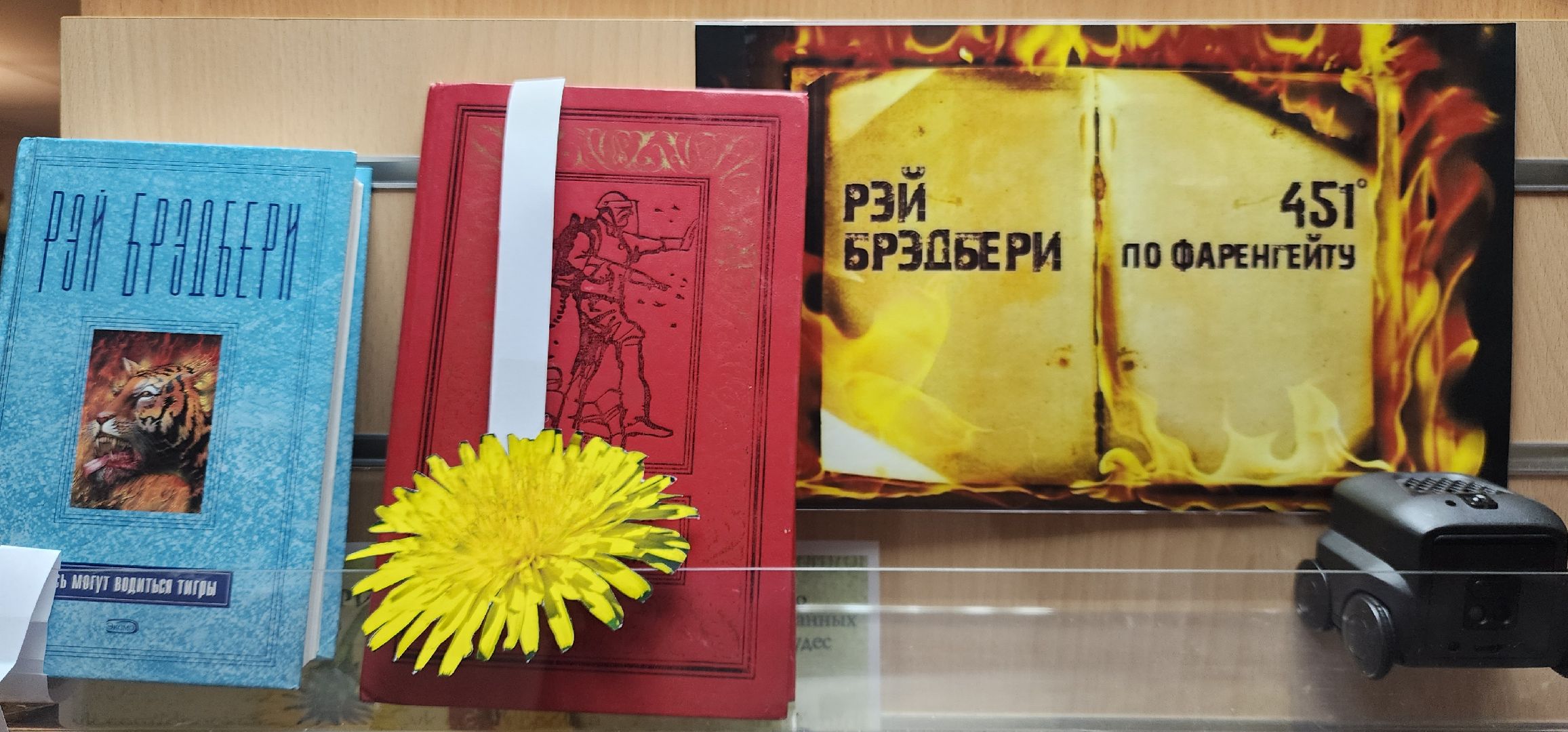 Общество , Литература , Биьлиотека Звенигорода , Культпросвет ,