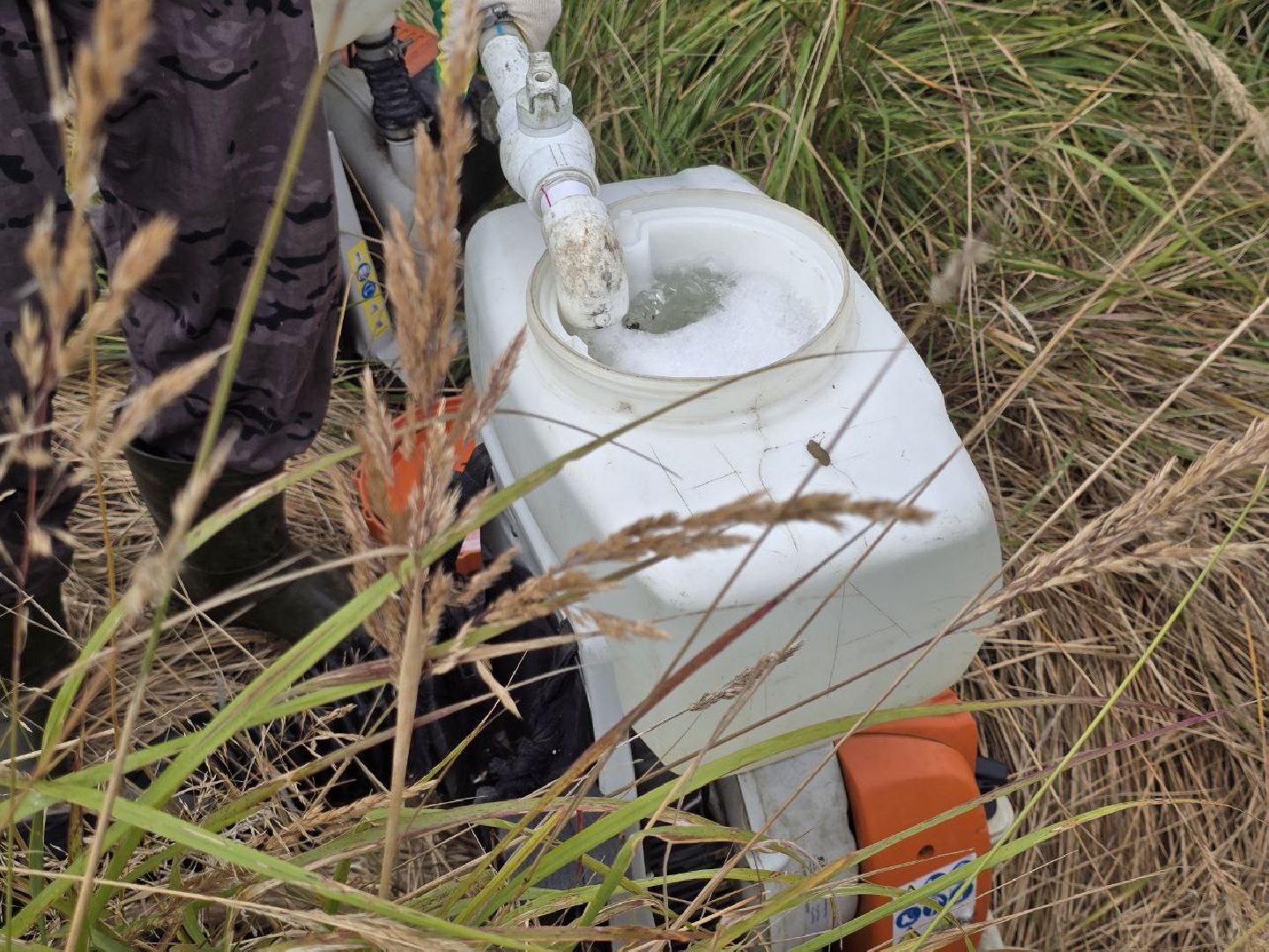 можайск, можайский муниципальный округ, подмосковье, экология, борщевик Сосновского, борьба с борщевиком,