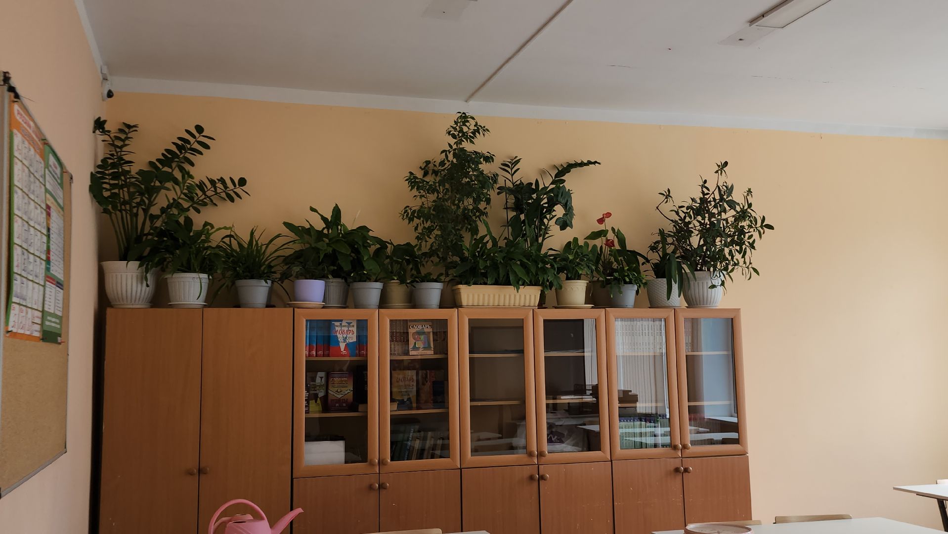 Школа, Истра,