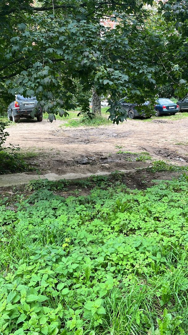 пушкинский городской округ, выездная администрация, ивантеевка, благоустройство,