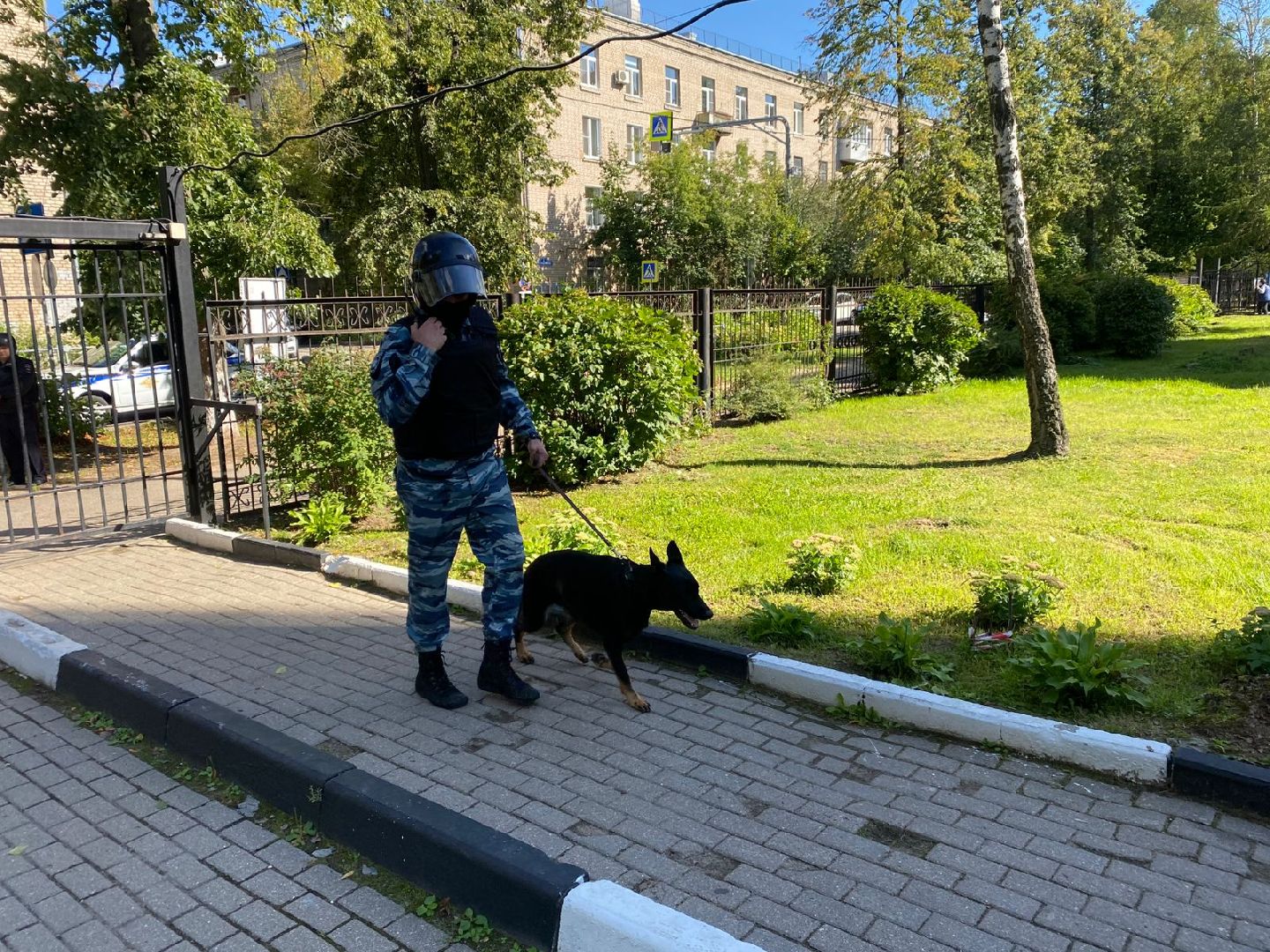 МЧС учения в школе 11 в Балашихе,