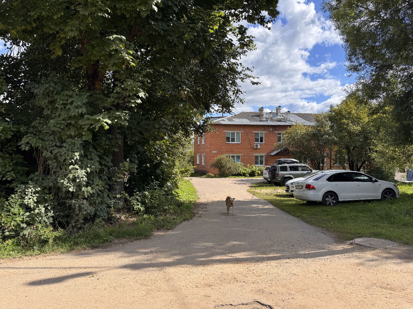 новый фап в Дубках, Инновационные технологии, 3d -принтер, Одинцовский округ,