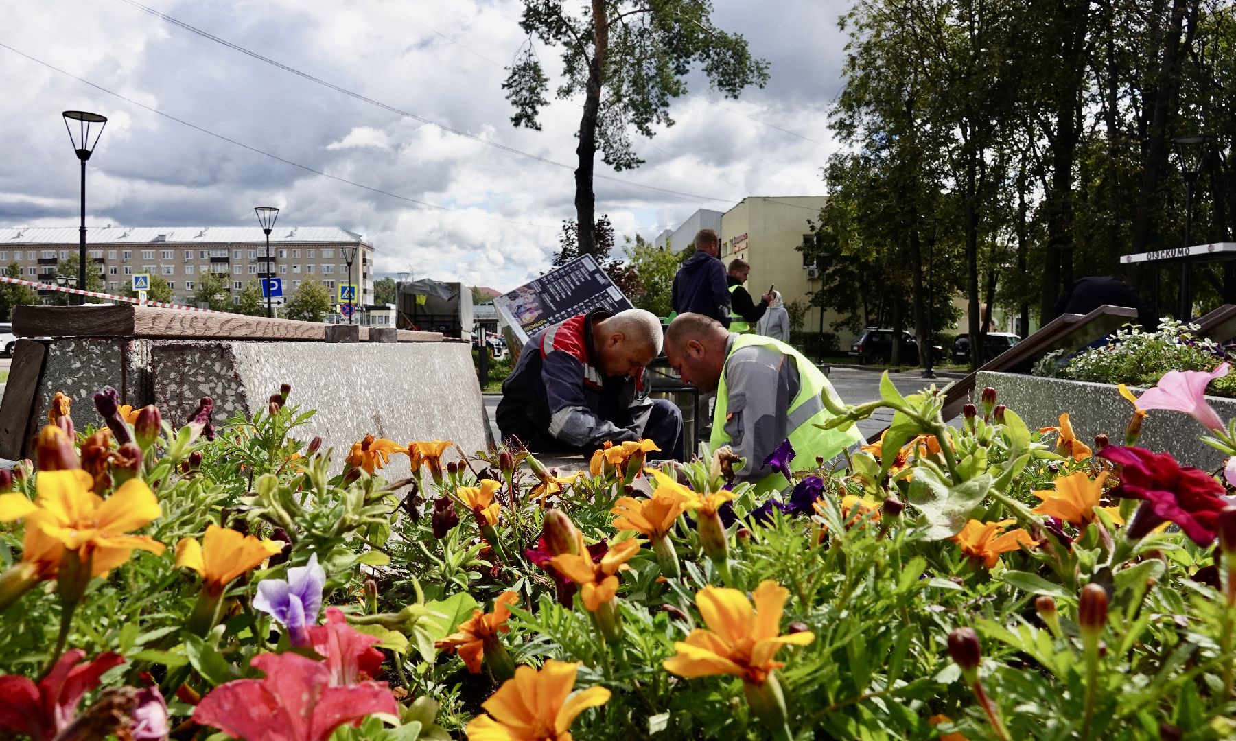 сергиев посад, благоустройство, сергиево-посадский городской округ,лавочки, дорога к храму, пешеходная зона,