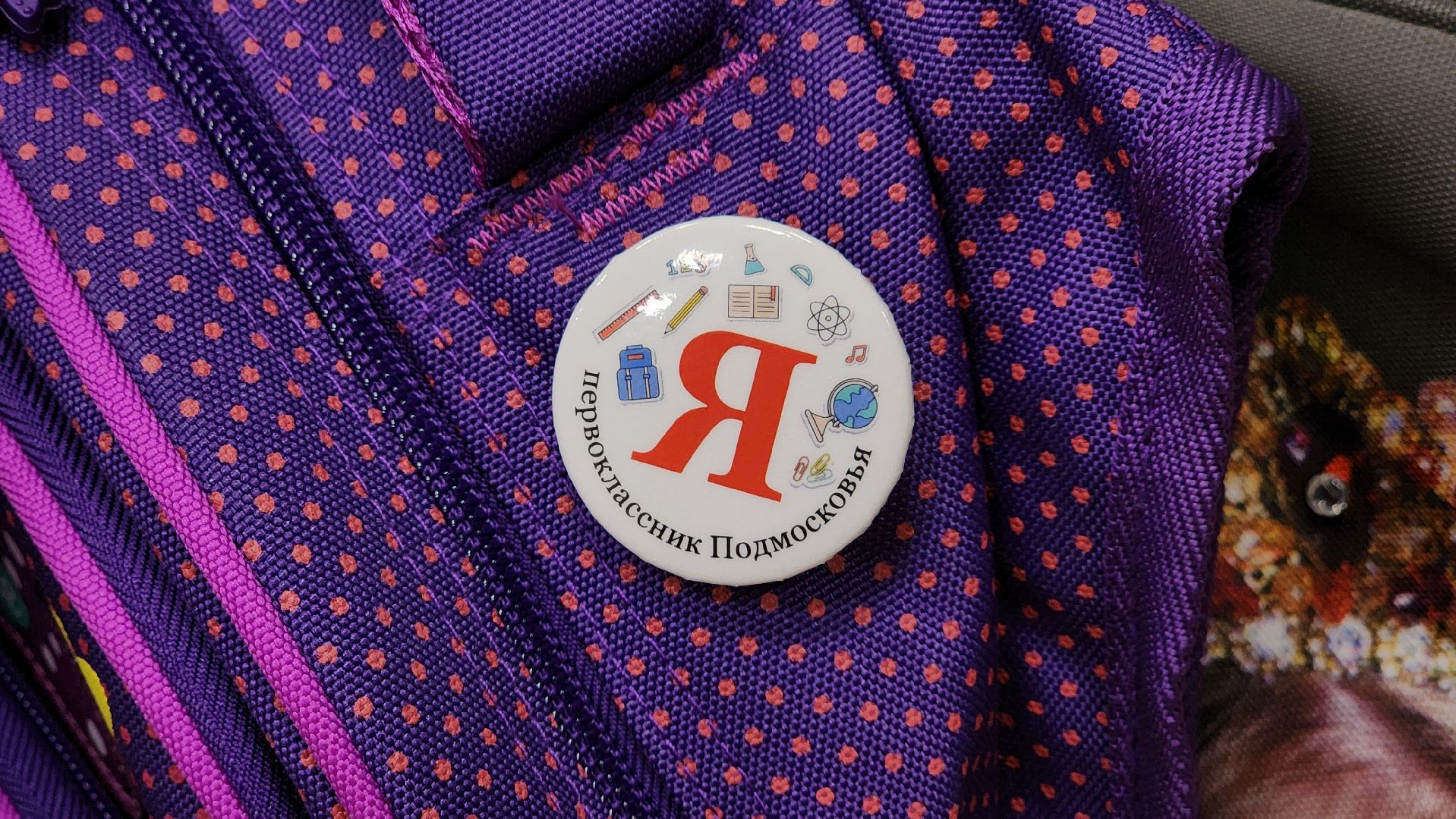 семьи военнослужащих, школа, помощь семьям участников сво, дети, лосино-петровский,