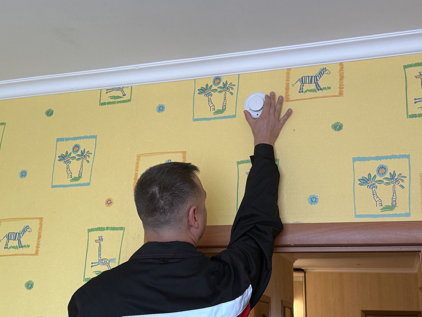 люберцы, мчс, противопожарные меры, датчик,многодетные семьи,