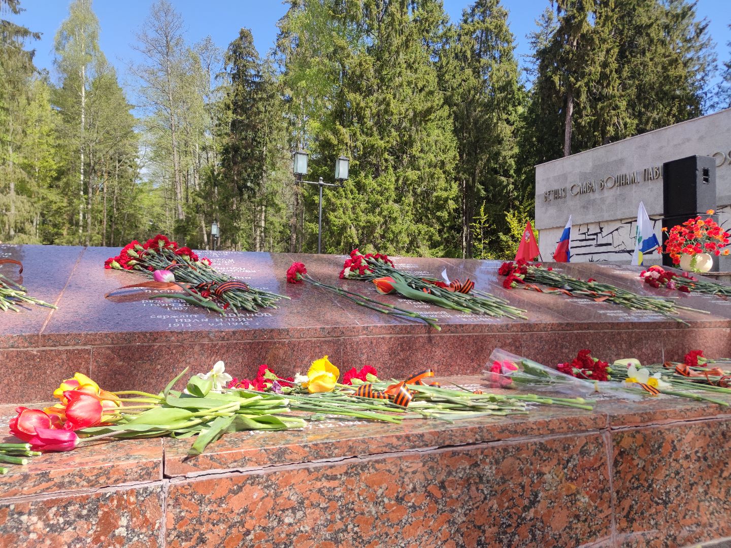 Митинг, День Победы, Дубна