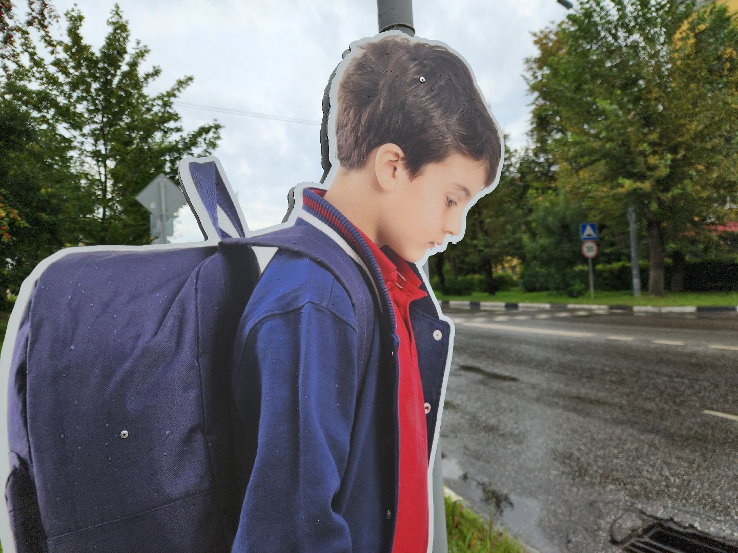 элекстросталь, пдд, пешеход, макет школьника, дорога, общество,