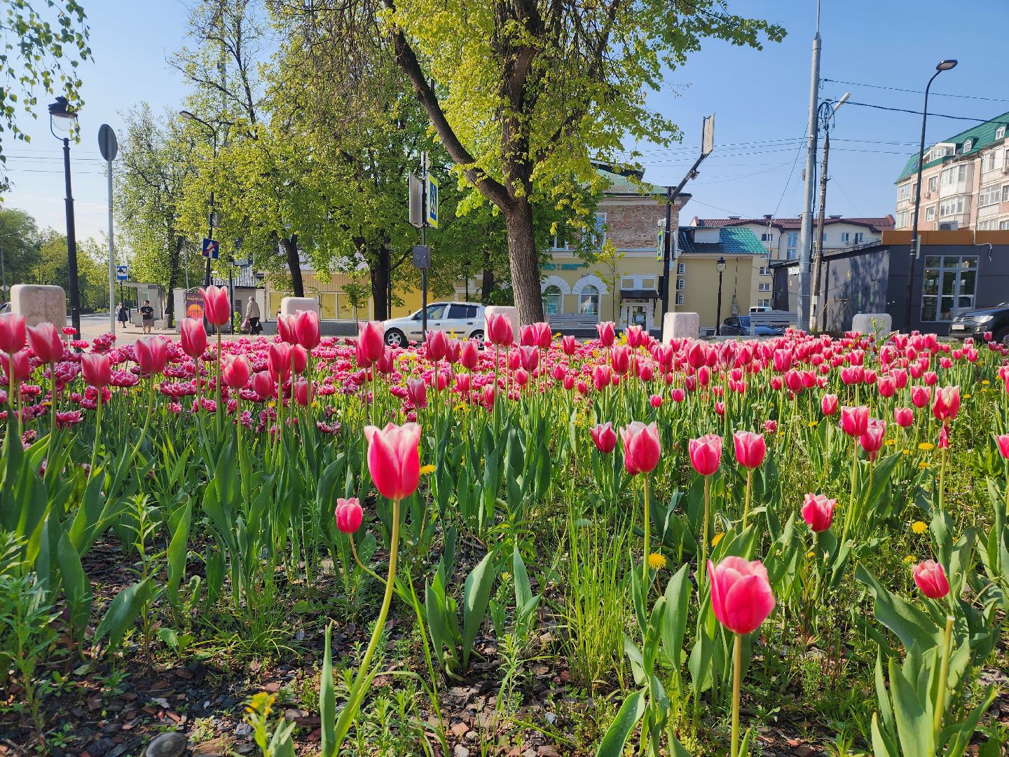 Общество , Туризм , День города , Звенигород,
