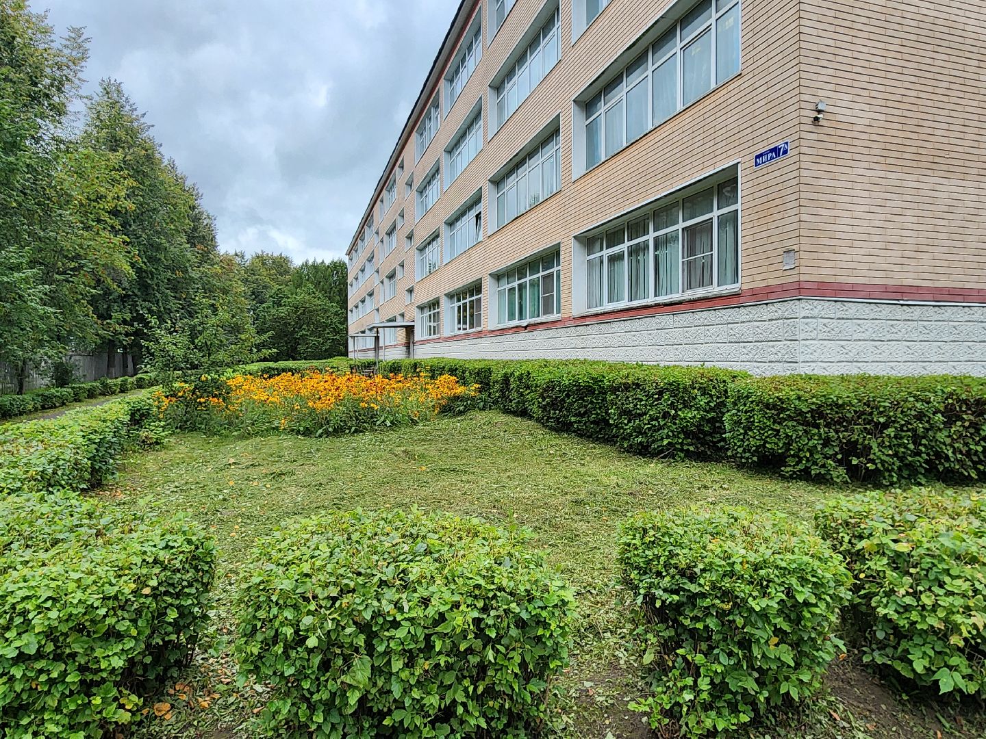 чехов, улица мира 7а, гимназия 7, подготовка к новому учебному году, текущий ремонт спортзала, обновление системы отопления, новые радиаторы отопления, благоустройство двора, покос травы, уборка мусора, покраска стен и потолка, директор гимназии елена рубцова,