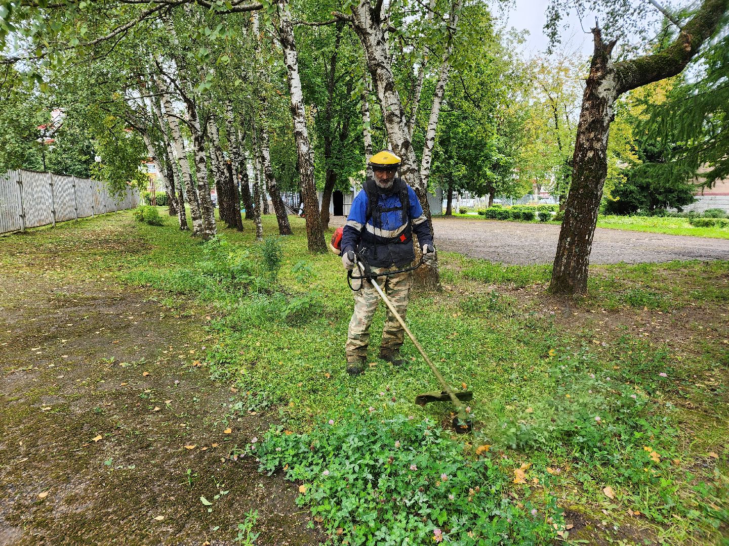 чехов, улица мира 7а, гимназия 7, подготовка к новому учебному году, текущий ремонт спортзала, обновление системы отопления, новые радиаторы отопления, благоустройство двора, покос травы, уборка мусора, покраска стен и потолка, директор гимназии елена рубцова,