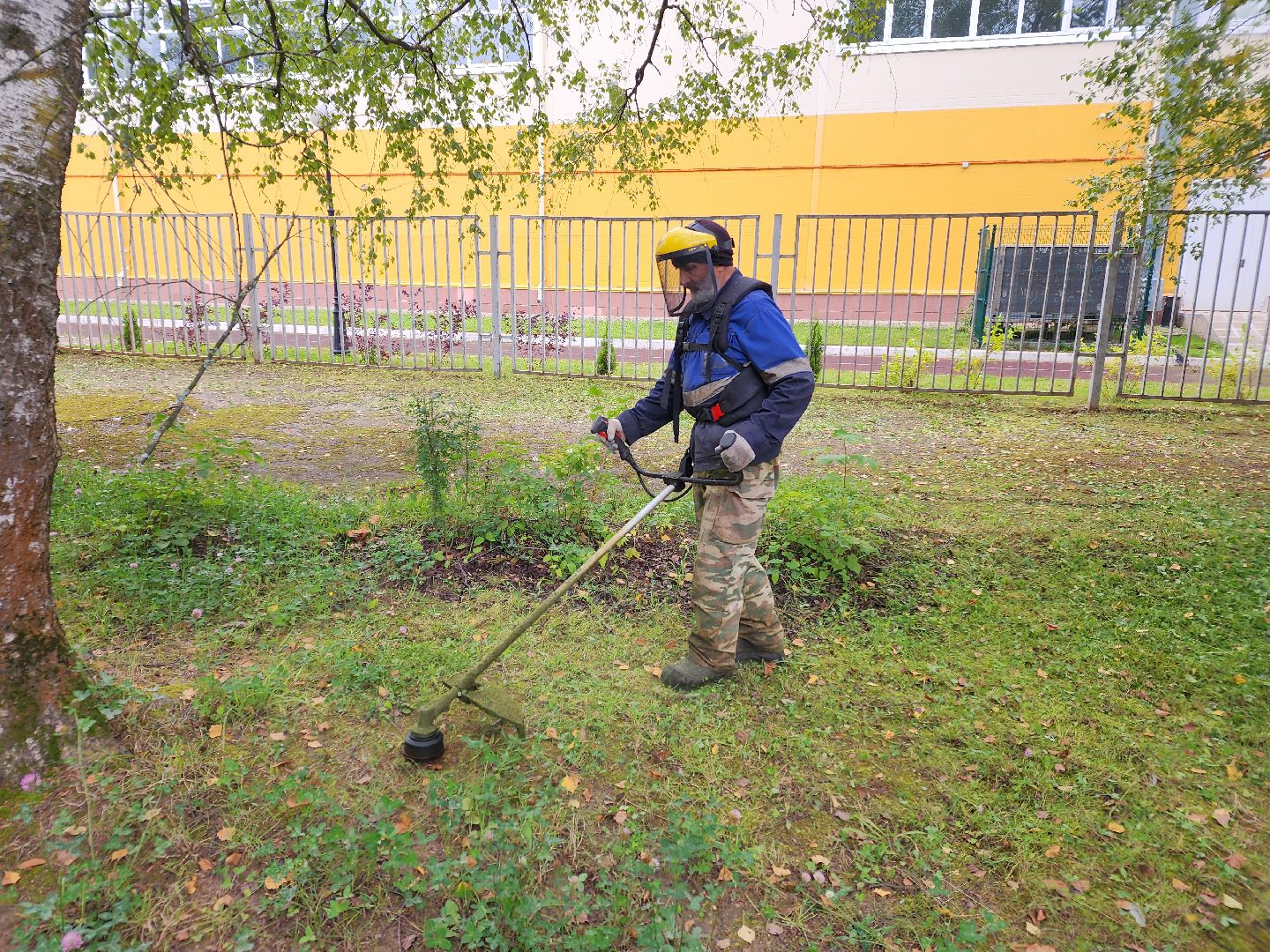 чехов, улица мира 7а, гимназия 7, подготовка к новому учебному году, текущий ремонт спортзала, обновление системы отопления, новые радиаторы отопления, благоустройство двора, покос травы, уборка мусора, покраска стен и потолка, директор гимназии елена рубцова,