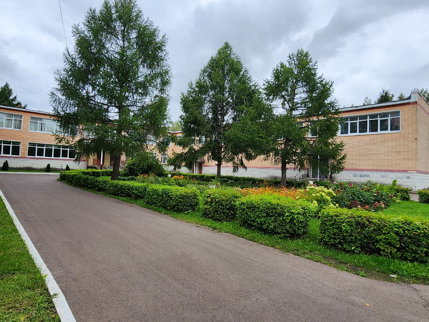 чехов, улица мира 7а, гимназия 7, подготовка к новому учебному году, текущий ремонт спортзала, обновление системы отопления, новые радиаторы отопления, благоустройство двора, покос травы, уборка мусора, покраска стен и потолка, директор гимназии елена рубцова,