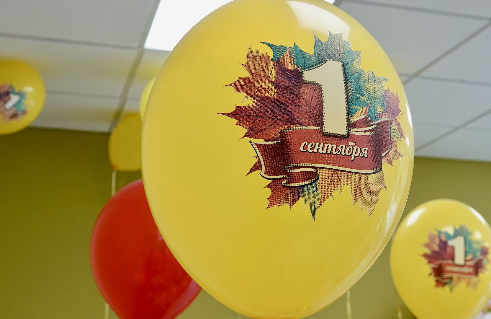 образование , капитальный ремонт школ , 1 сентября ,  день знаний , первый звонок , сергиево-посадский городской округ, пересвет  ,