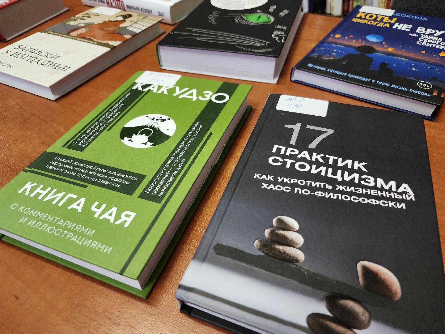 фрязино, библиотека, новые книги, чтение,