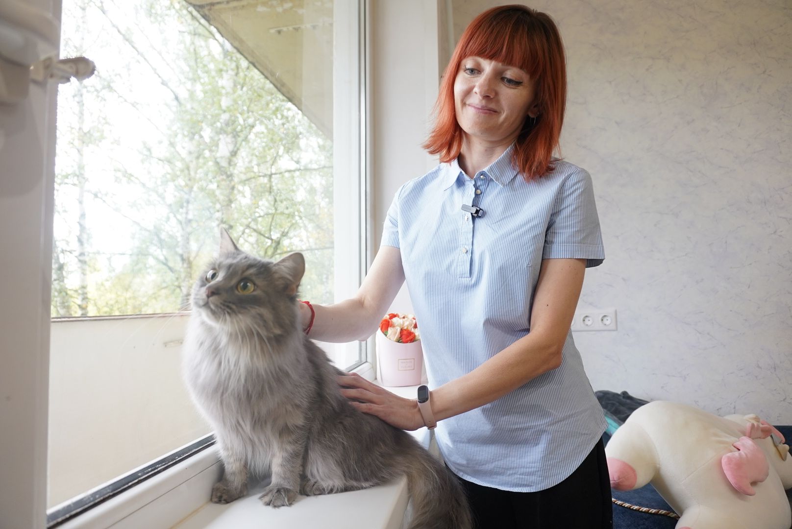 Павловский Посад , Социальная ипотека ,   Жилье ,