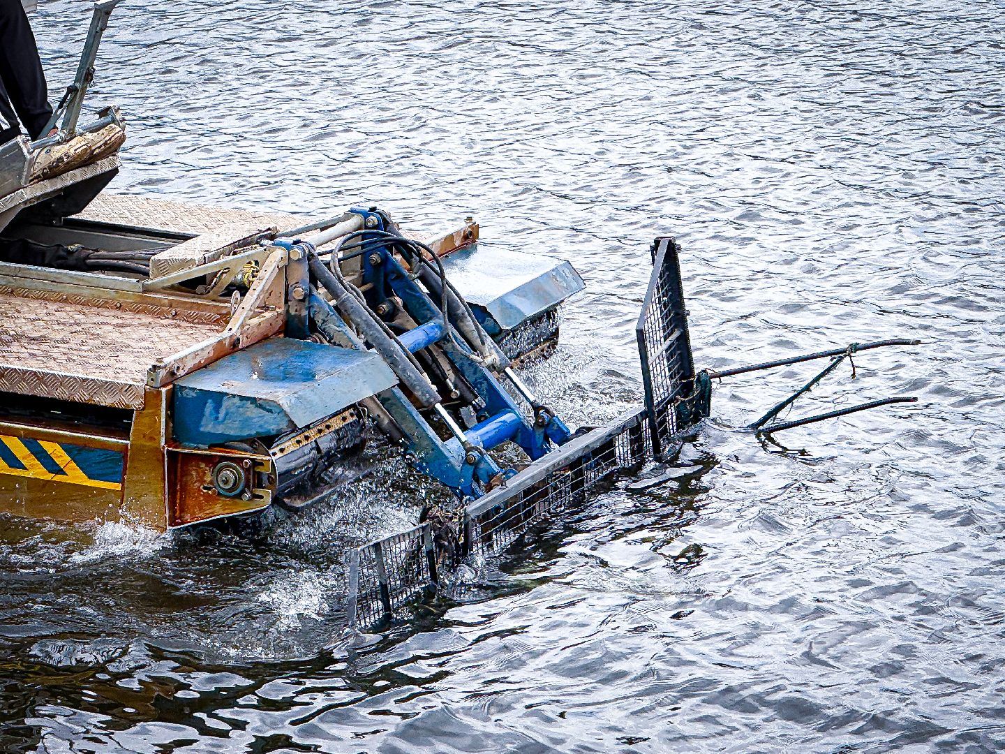 клин, общество, экология, очистка пруда, подмосковье,