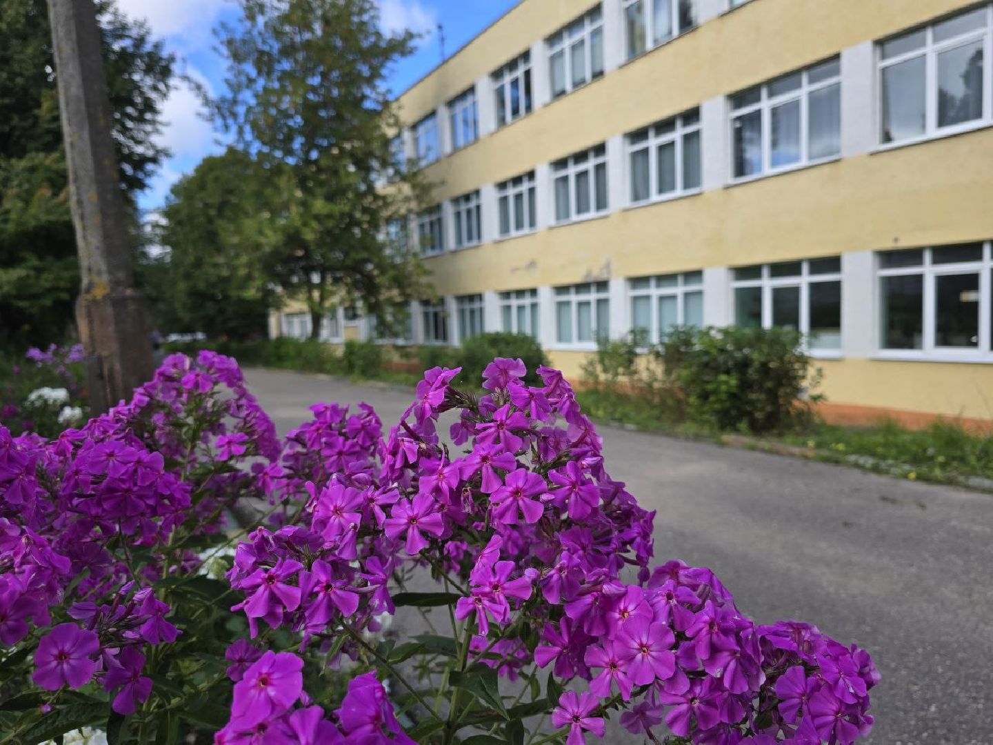 можайск, можайский муниципальный округ, подмосковье, молодой педагог , молодой специалист, школа, 1 сентября, образование,