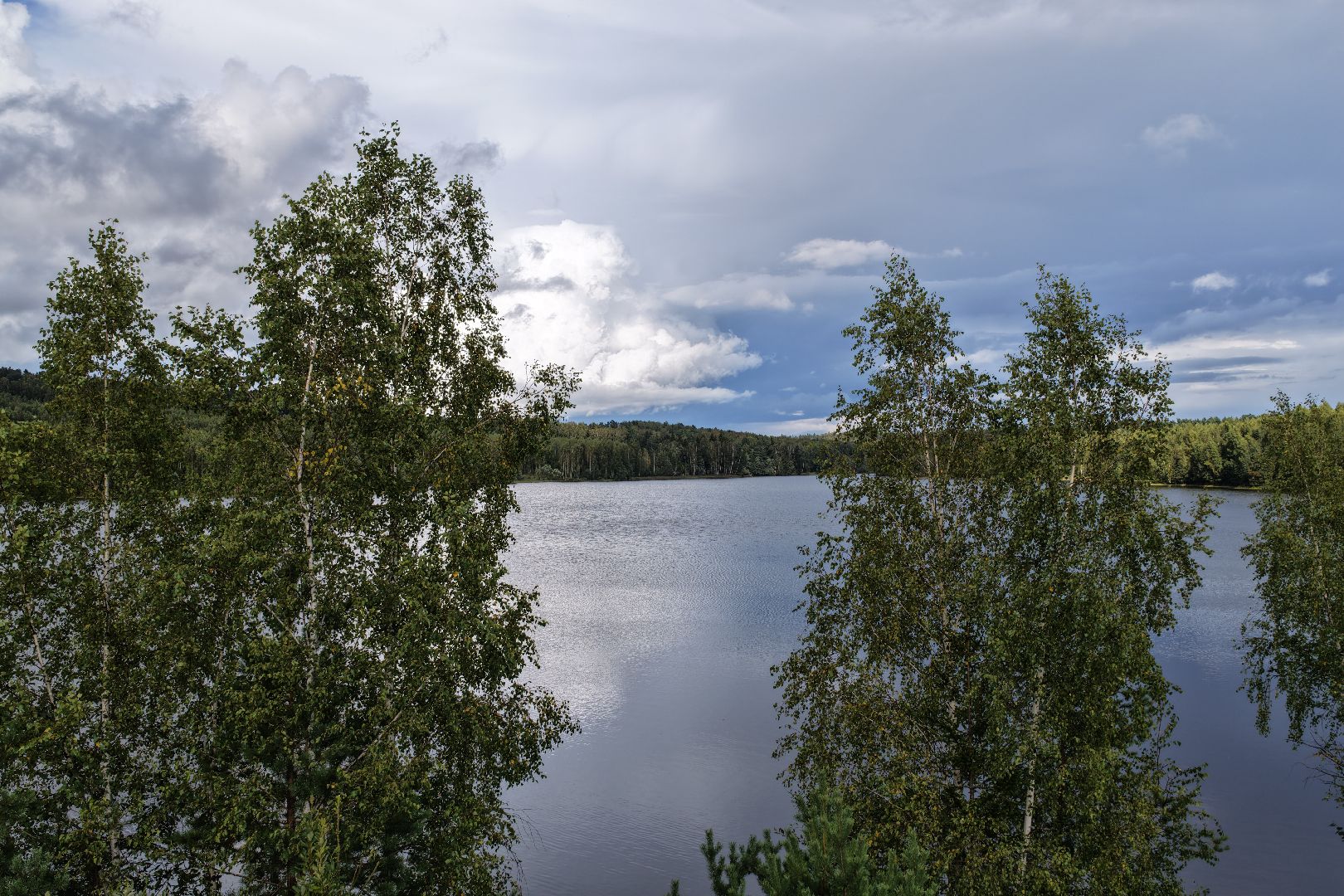 видео с коптера, очистка Ваулинской плотины, экология подмосковья,