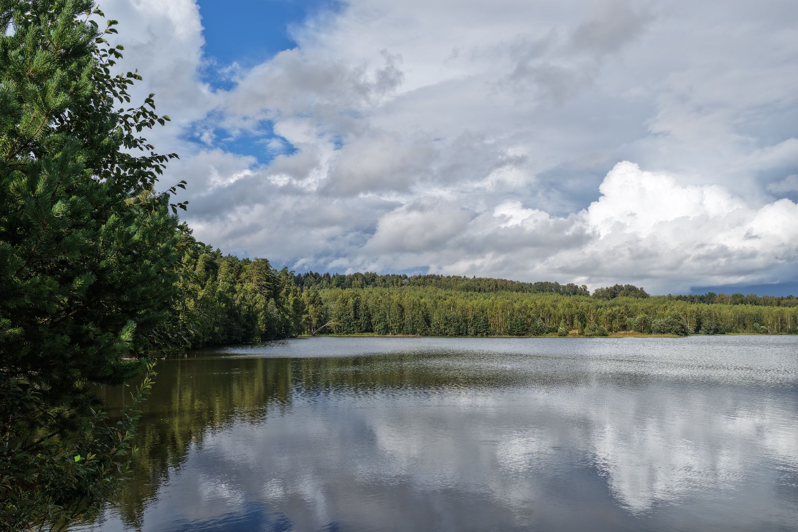 видео с коптера, очистка Ваулинской плотины, экология подмосковья,