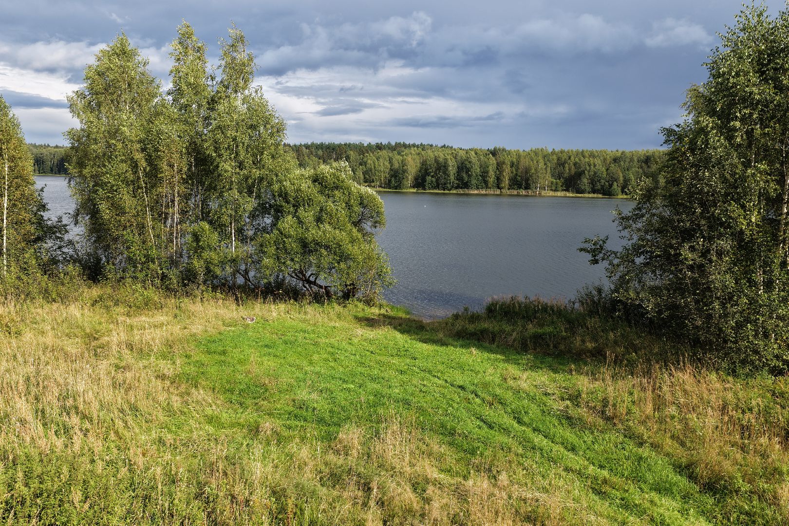 видео с коптера, очистка Ваулинской плотины, экология подмосковья,