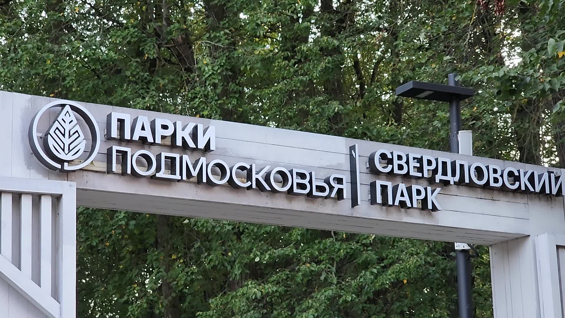 /mediabank_mount//79978/3fa85c197a83466fddb66cfcd791bd61.jpg