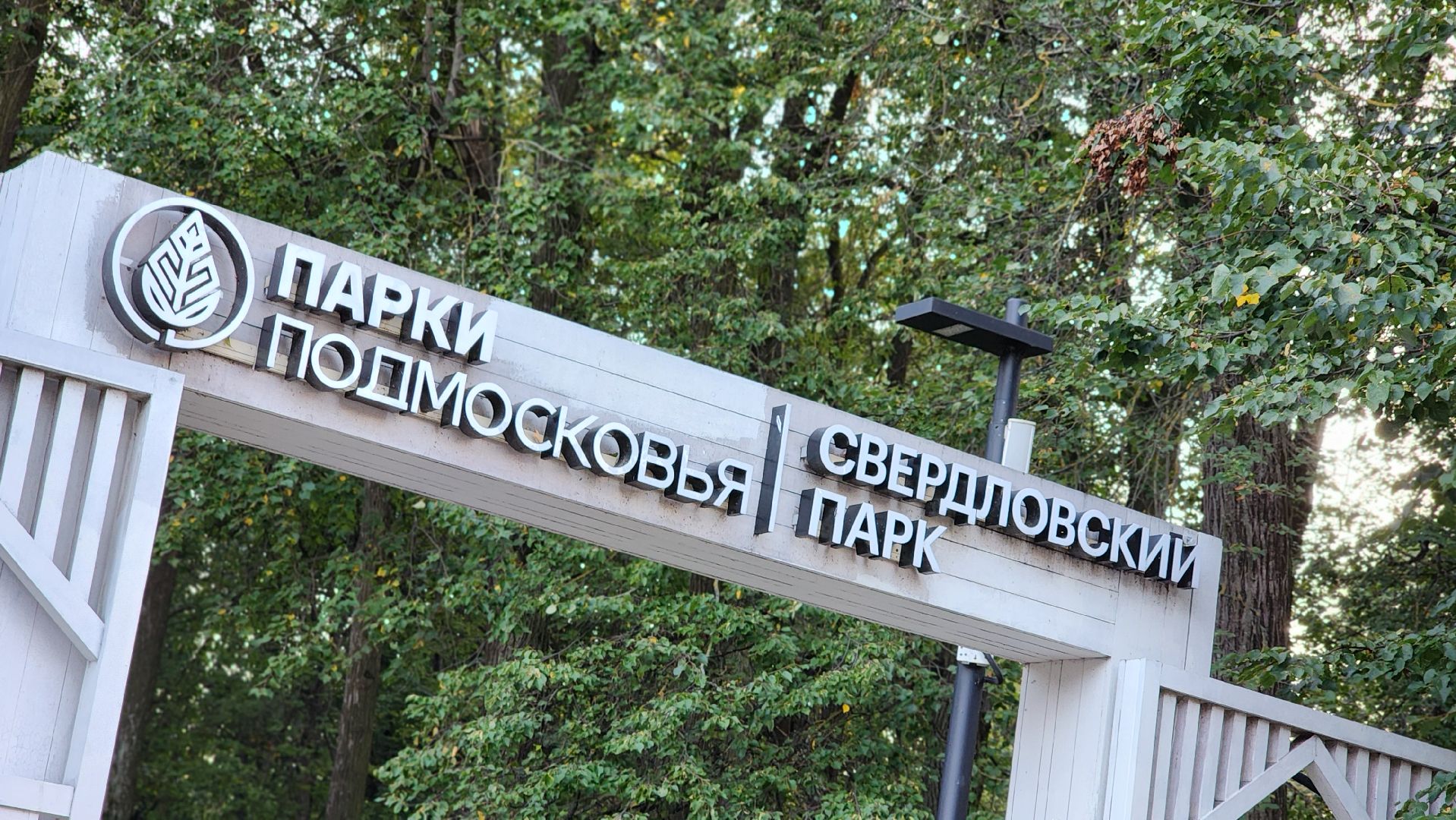 праздник, день поселка,  общество, парк, лосино-петровский,