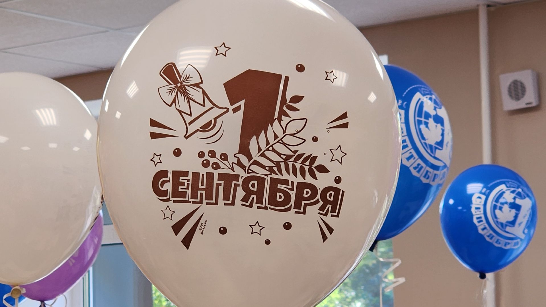 1 сентября, Обновленная школа в Монино, щёлково, поздравление ветерана,