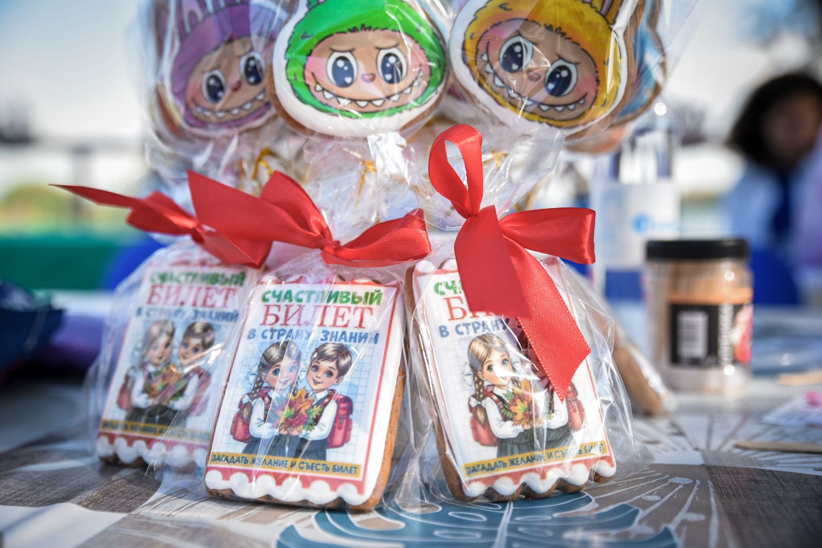 бронницы, парк бронницкий луг, день знаний в парке , дети, шашки в бронницах,