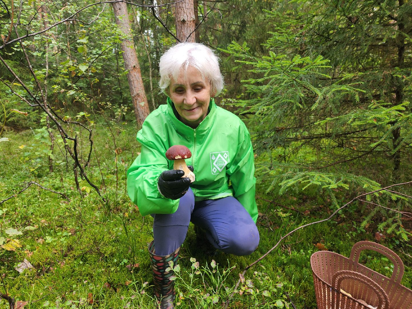 красноармейск, городской округ пушкинский, тихая охота, грибы в лесу,