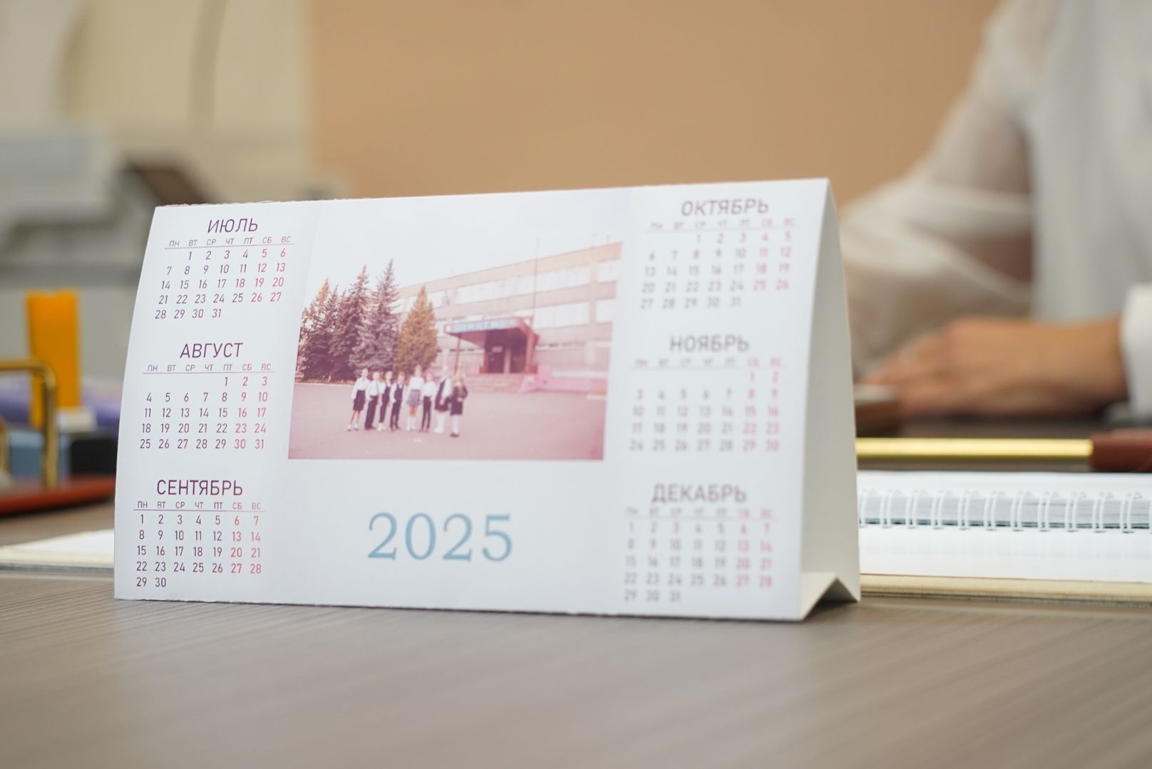 Электрогорск , Портрет, Директор ,