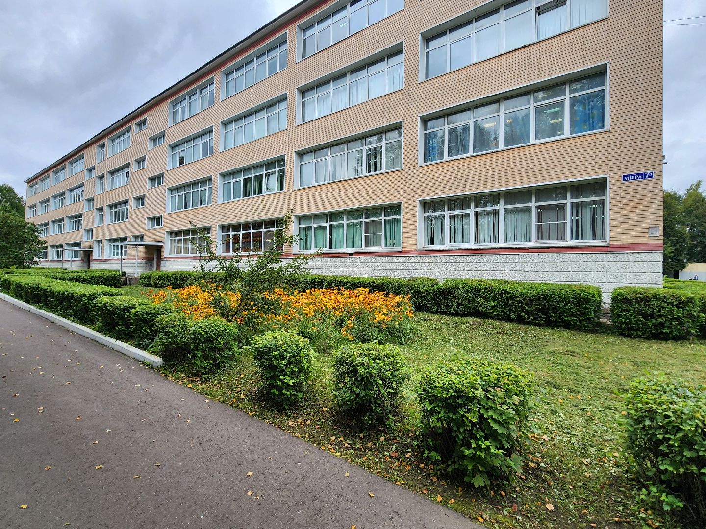 чехов, улица мира 7а, гимназия 7, новый учитель физкультуры , молодой педагог , Кирилл Ротастиков, биография, поддержка молодых учителей , директор гимназии елена рубцова,наставничество,