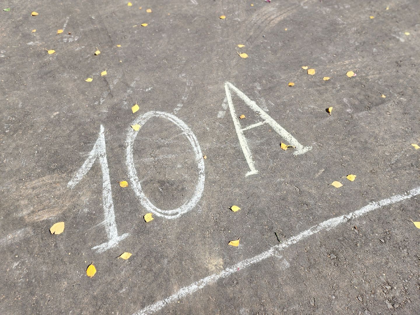 фрязино, 1 сентября, первоклассники подмосковья, капитальный ремонт школы,