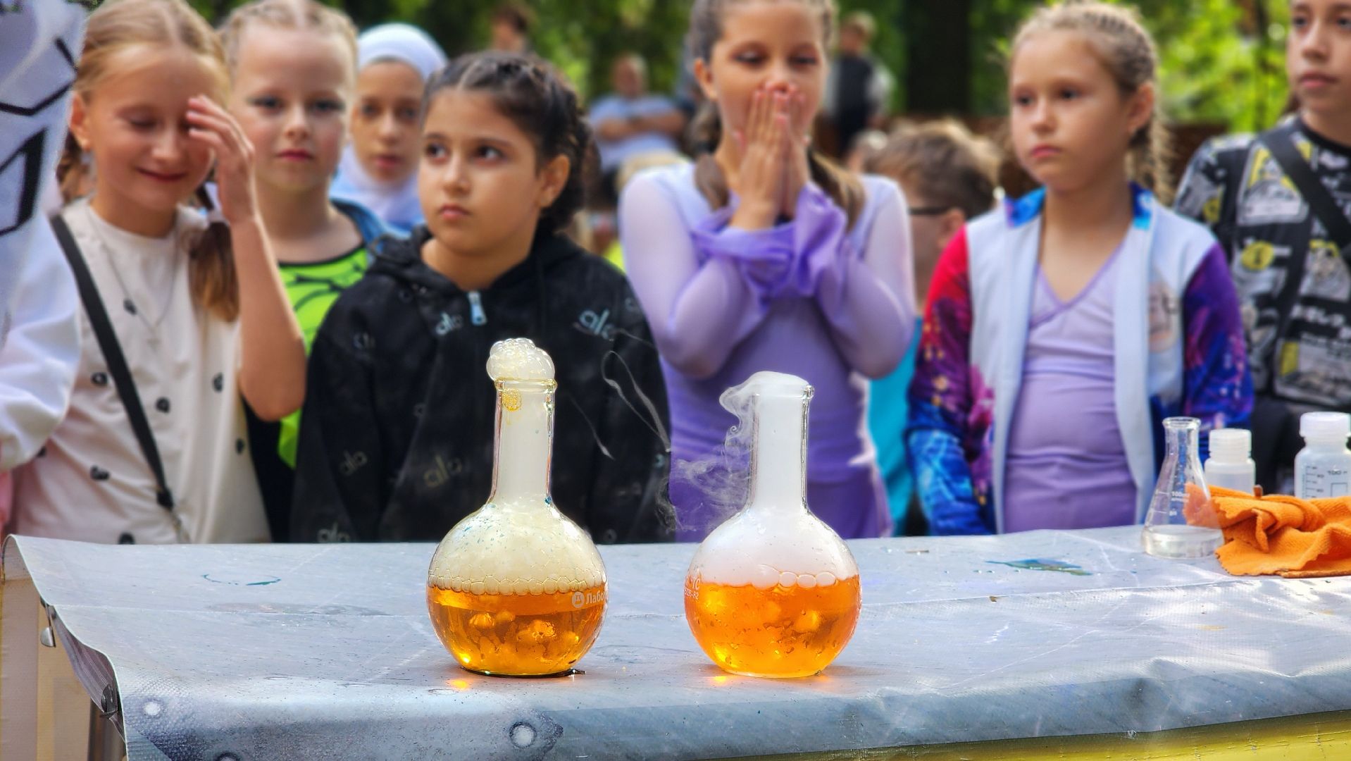 день знаний, праздник,  парк, лосино-петровский,