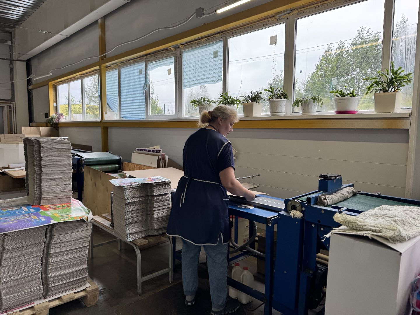 шаховская, десятое королевство, предприятие, бизнес,