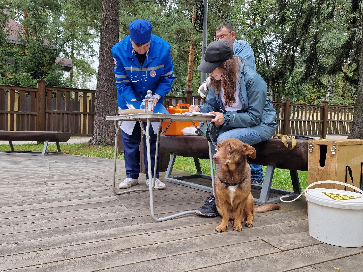 вакцинация от бешенства в балашихе, никольско-архангельский парк балашиха,