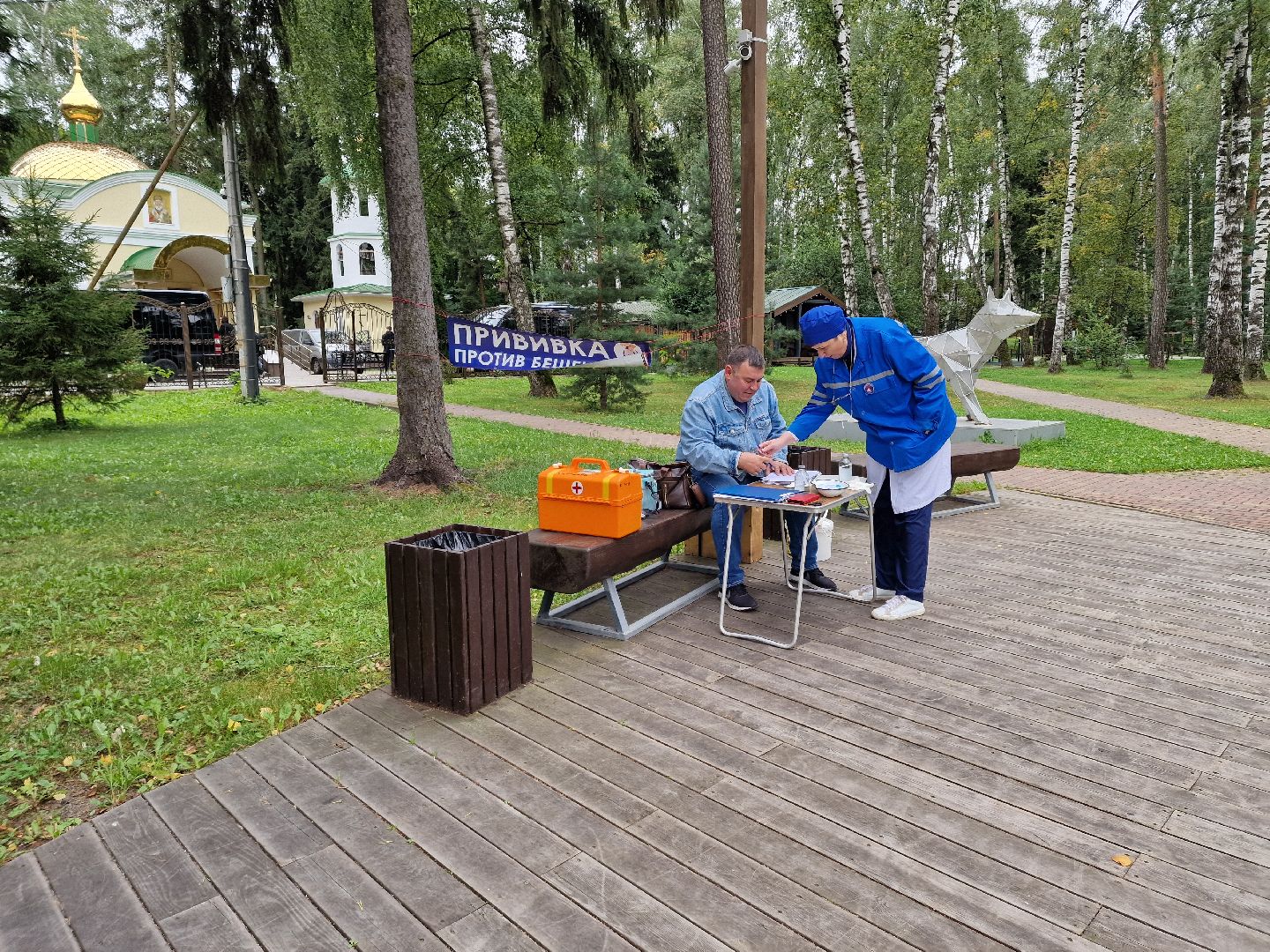 вакцинация от бешенства в балашихе, никольско-архангельский парк балашиха,