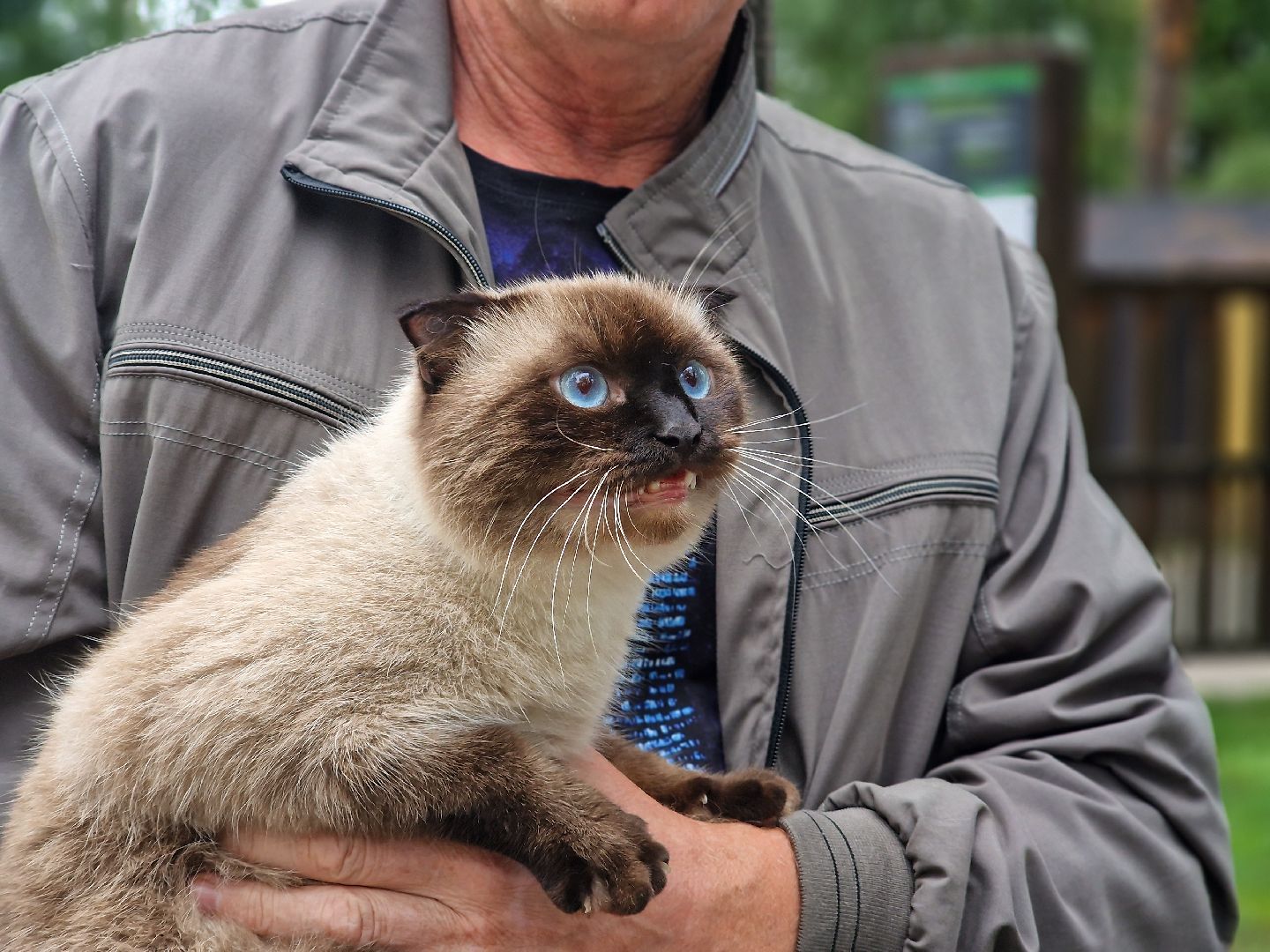 вакцинация от бешенства в балашихе, никольско-архангельский парк балашиха,