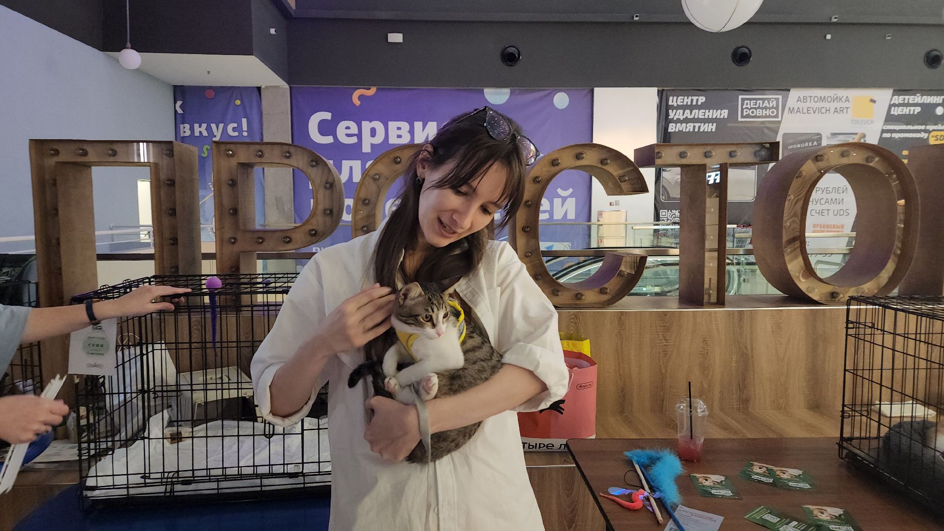 пушкино, пристройство щенков, бездомные животные, котята, кошки, собаки, волонтерская деятельность, помощь животным,экологи, ветеринар,психолог, лекции,