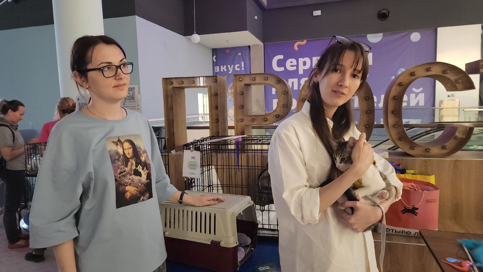 пушкино, пристройство щенков, бездомные животные, котята, кошки, собаки, волонтерская деятельность, помощь животным,экологи, ветеринар,психолог, лекции,