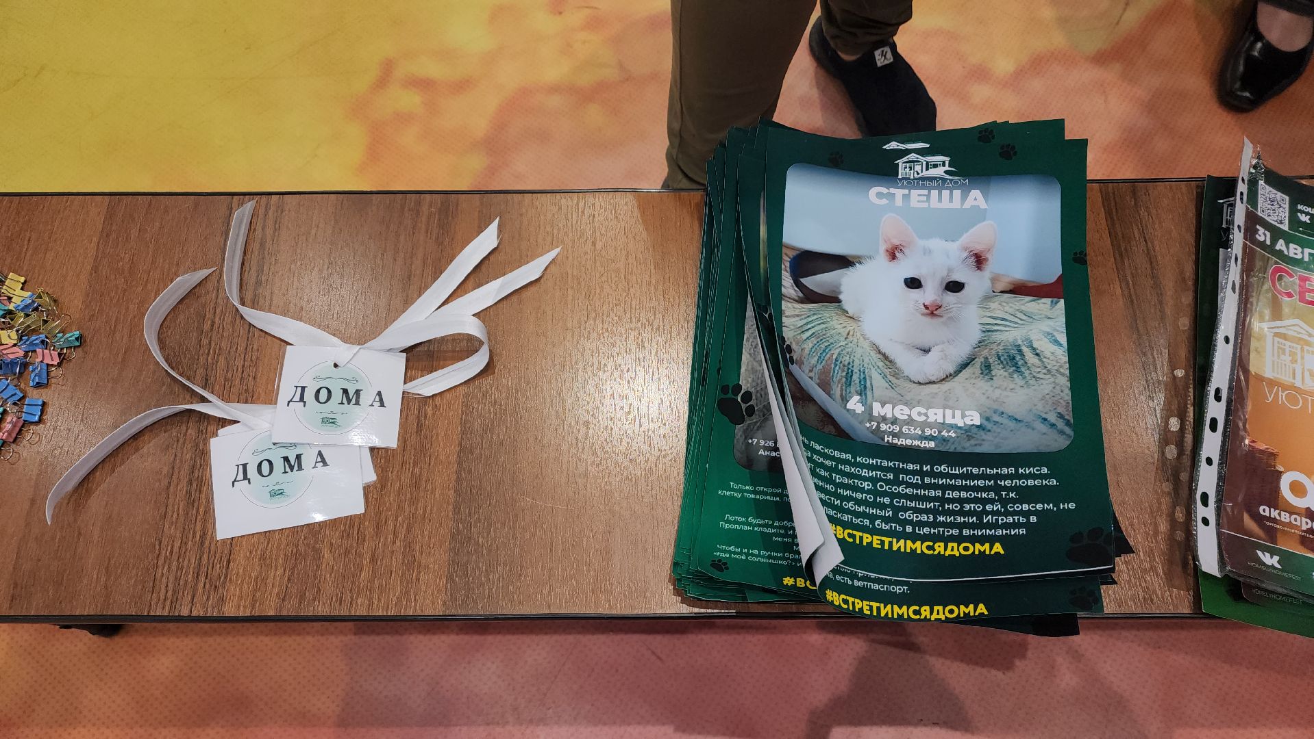 пушкино, пристройство щенков, бездомные животные, котята, кошки, собаки, волонтерская деятельность, помощь животным,экологи, ветеринар,психолог, лекции,