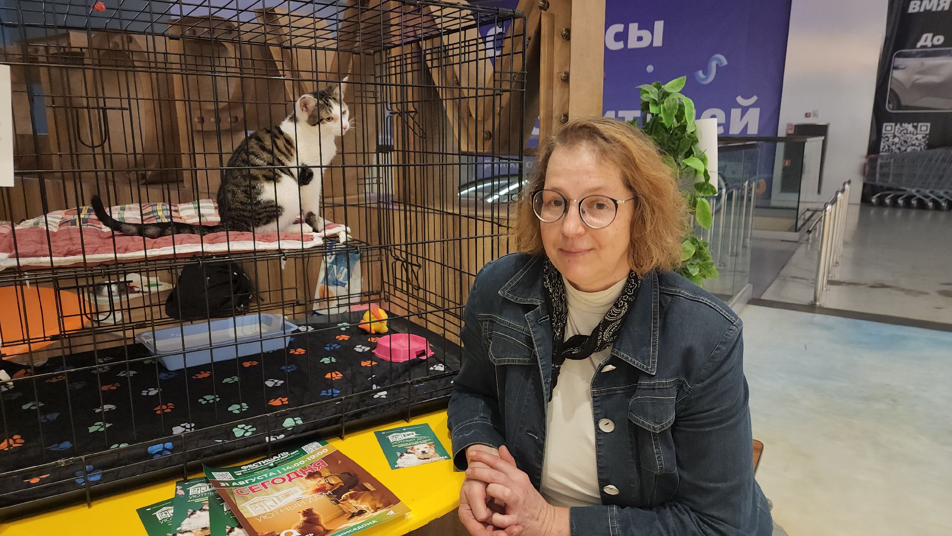 пушкино, пристройство щенков, бездомные животные, котята, кошки, собаки, волонтерская деятельность, помощь животным,экологи, ветеринар,психолог, лекции,