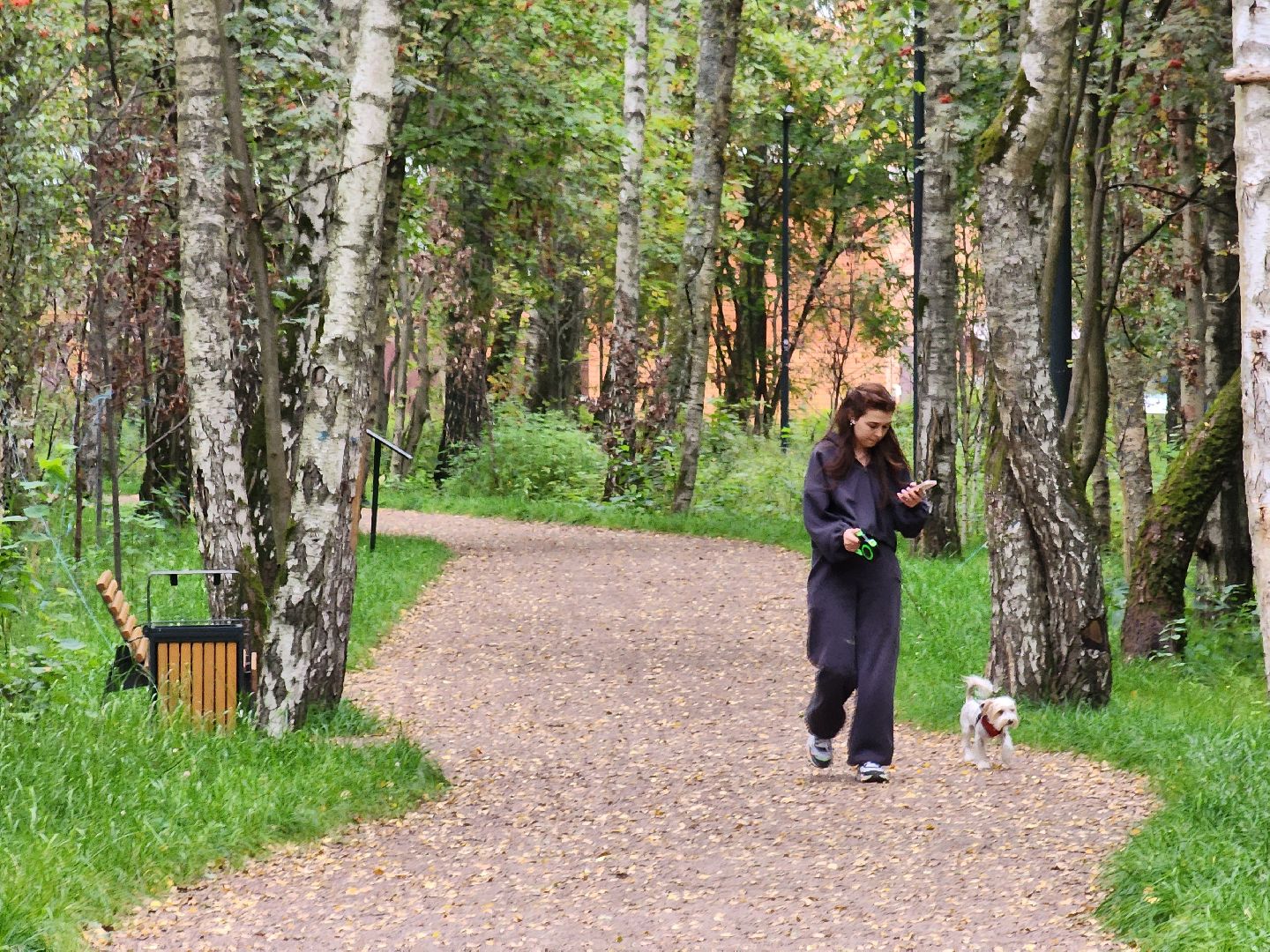 чехов, микрорайон губернский, улица уездная, лесопарк, благоустройство , строительство, проверка, депутат госдумы александр коган, инспекция, комиссия, заместитель главы округа александр ротнов, встреча с жителями , обращения граждан,госпрограмма московской области, формирование комфортной городской среды,