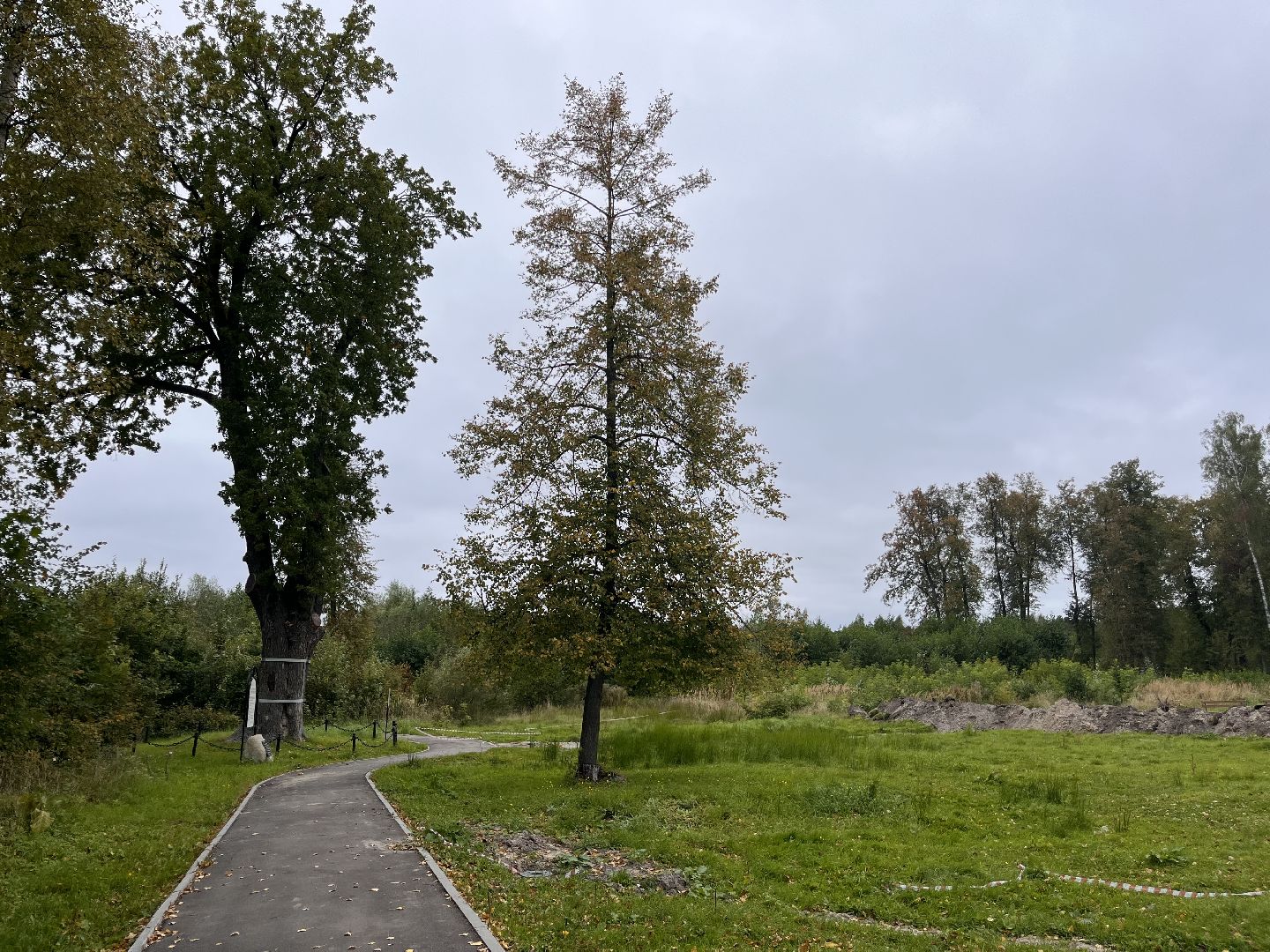 шатура, шатура благоустройство, шатура новости, мишеронский,