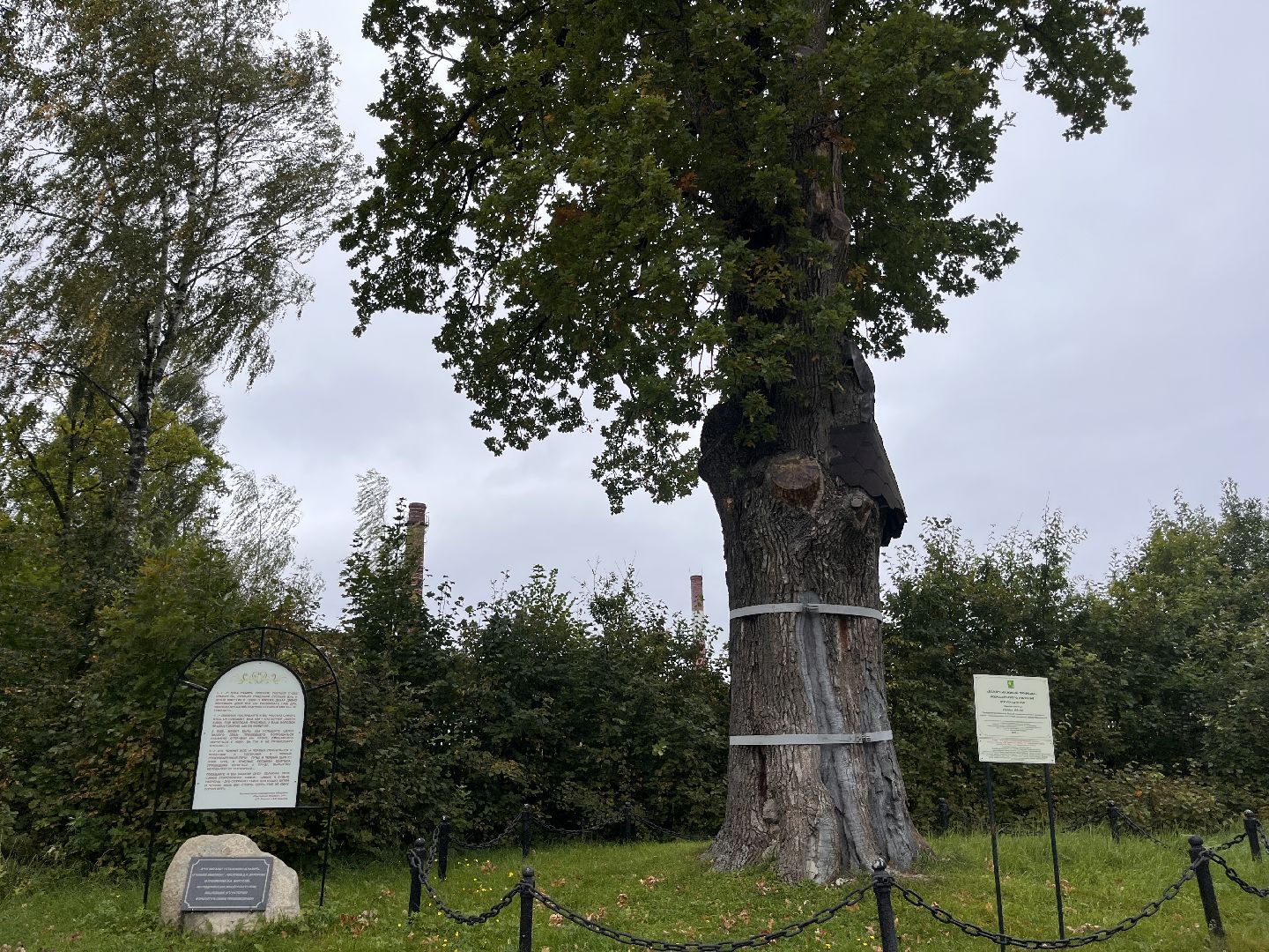 шатура, шатура благоустройство, шатура новости, мишеронский,