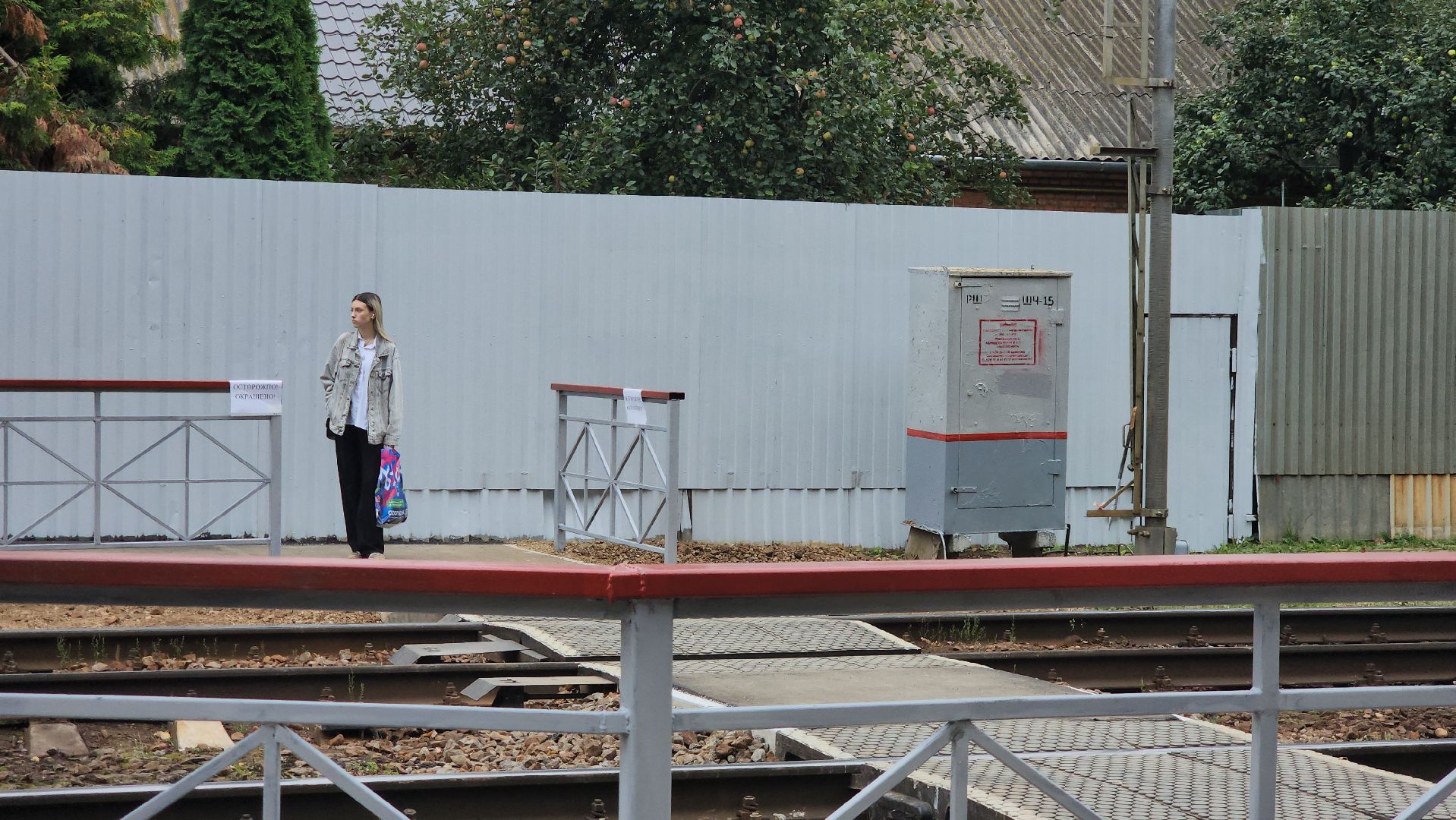 железная дорога, железнодорожная станция, железнодорожные пути, Лобня ,