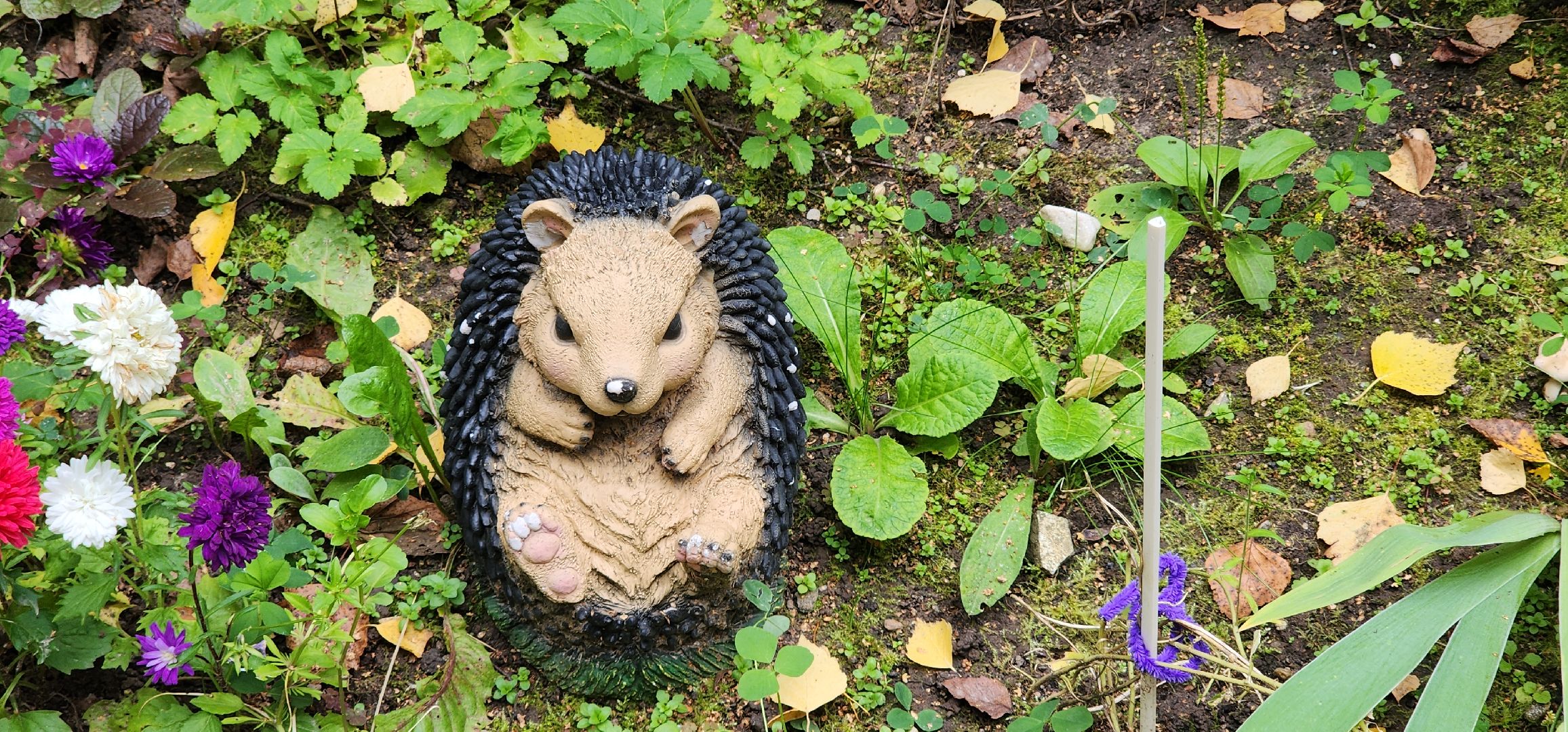 Образование , Благоустройство детского сада , Ремонт детских садов , Дополнительное образование ,