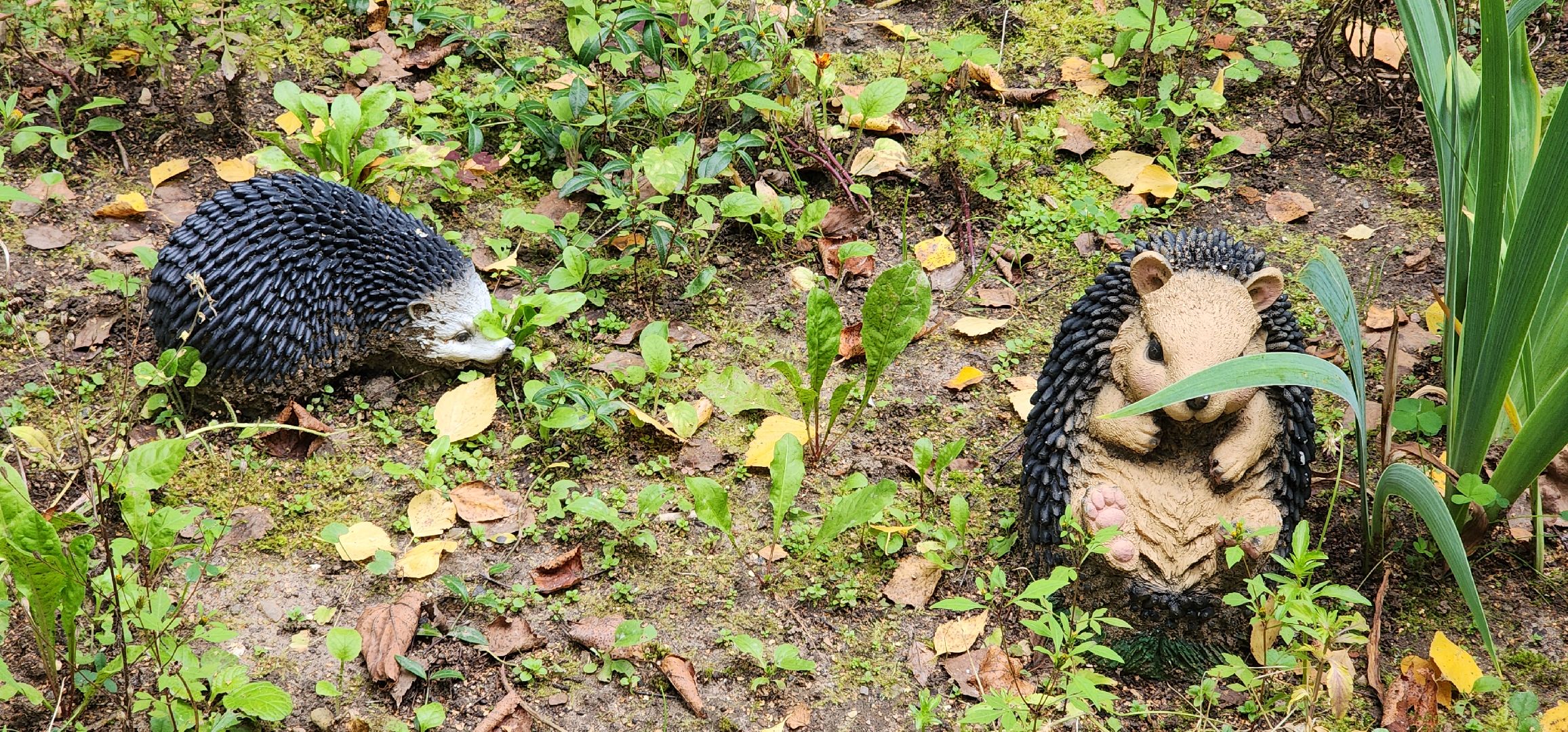 Образование , Благоустройство детского сада , Ремонт детских садов , Дополнительное образование ,